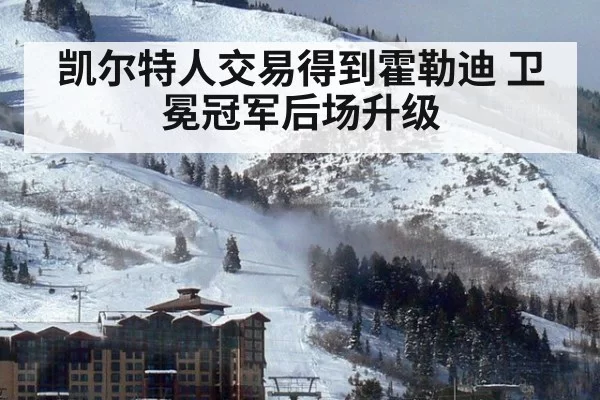 凯尔特人交易得到霍勒迪 卫冕冠军后场升级