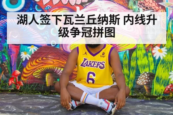 湖人签下瓦兰丘纳斯 内线升级争冠拼图